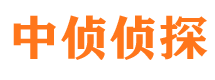 石峰市调查公司